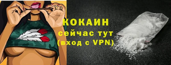 спайс Алексин