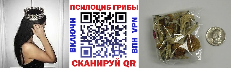 Псилоцибиновые грибы GOLDEN TEACHER  KRAKEN ССЫЛКА  Санкт-Петербург  купить  цена 